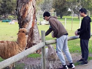 Students with animals at wildlife park