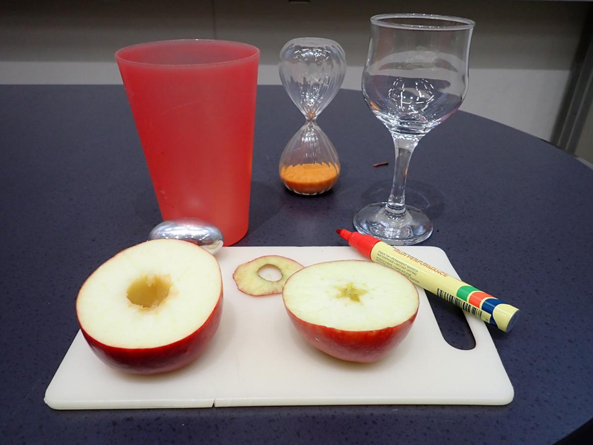 Objects used to investigate Axisymmetry - Apple, glasses, timer