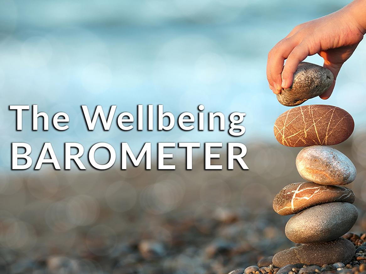 The Wellbeing Barometer